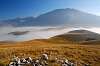 9.Mt. Cucco Castelluccio 2009 1012.jpg