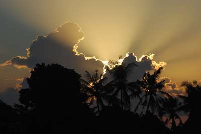 bali_2009_1267.jpg