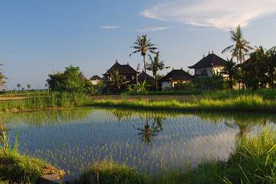bali_2009_985.jpg