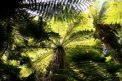 2_neuseeland_2008_320.jpg