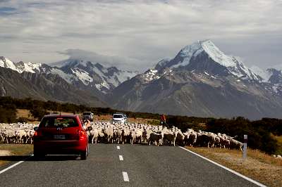 3_neuseeland_2008_110.jpg