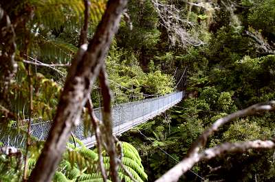 3_neuseeland_2008_449.jpg