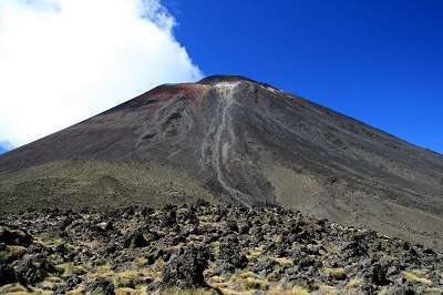 5_neuseeland_2008_146.jpg