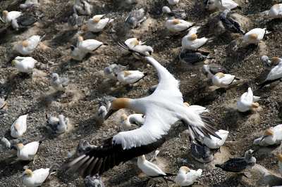 5_neuseeland_2008_614.jpg