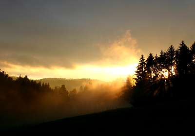 img_5652.jpg