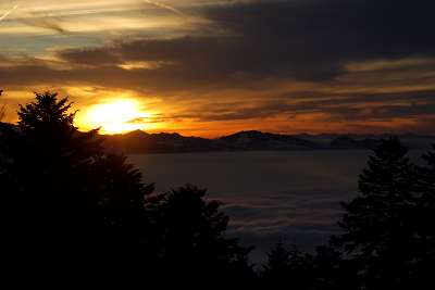 pfaender_ueberm_nebel_abends16.1.2009_036.jpg